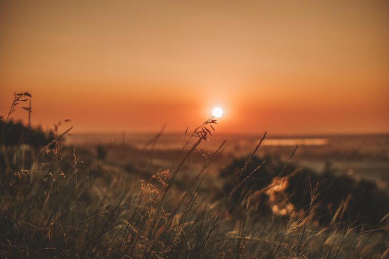 summer