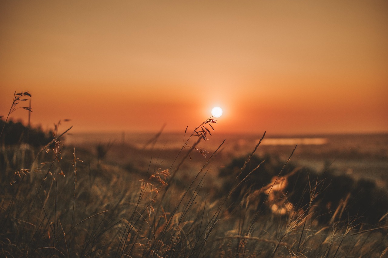 summer
