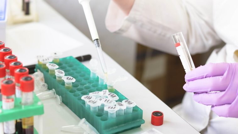 laboratorija